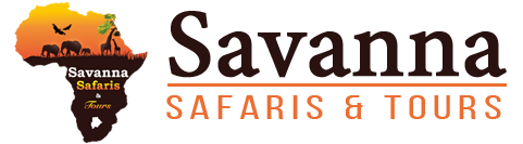 cropped-logo-wide